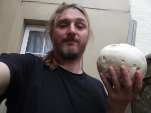 Giant Puffball (Calvatia gigantea)